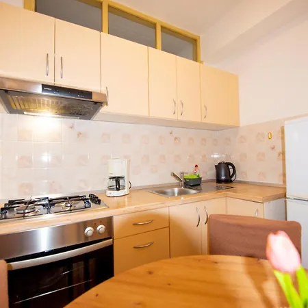 Apartments Cvito Novalja Room photo
